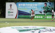 开云官网-关于俄罗斯国内足球赛场崭露头角，冠军悬念大的信息