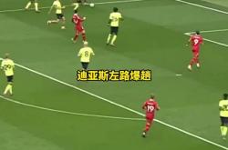 开云体育中国-富勒姆遭遇南安普顿主场逆转，保级堪忧的简单介绍
