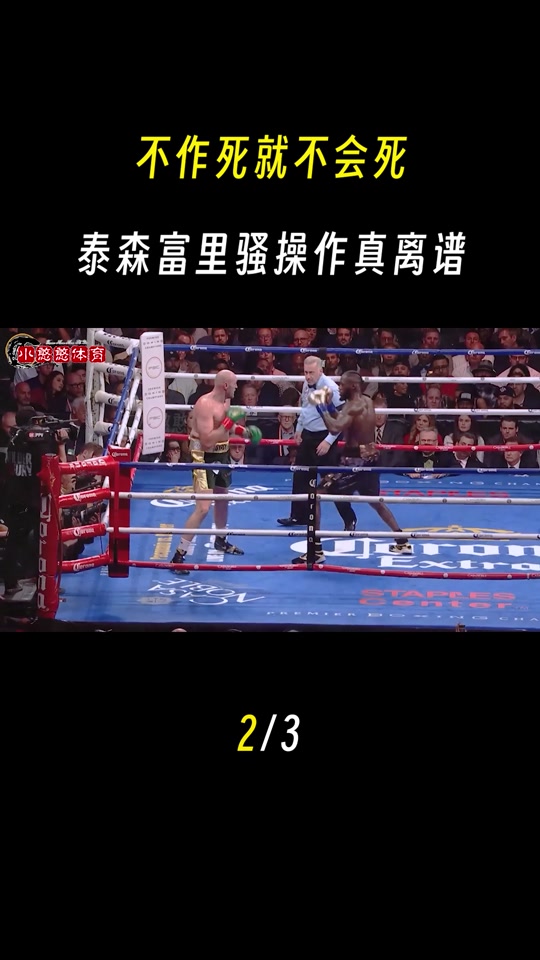 爱尔兰拳击手奋勇拼搏，闯入前八