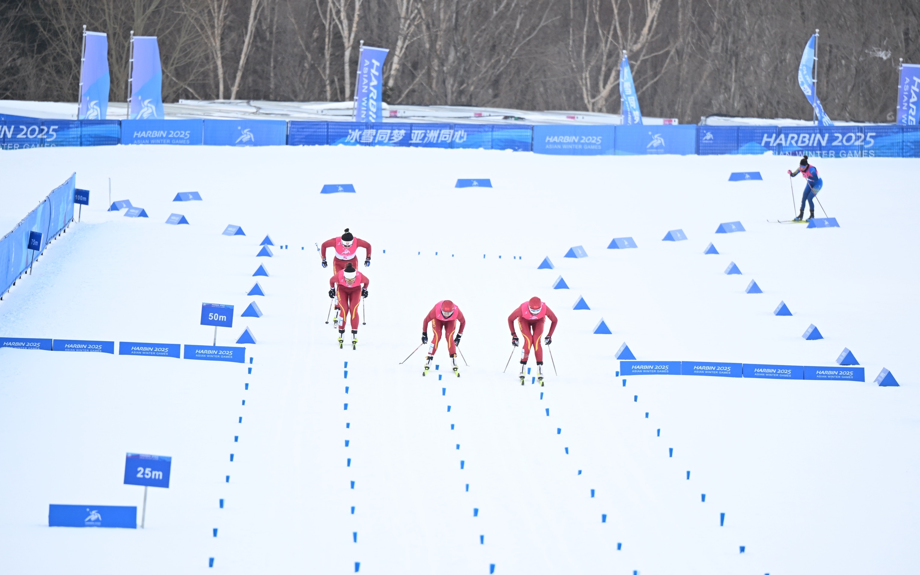 芬兰选手斩获金牌，滑雪项目中成绩出众