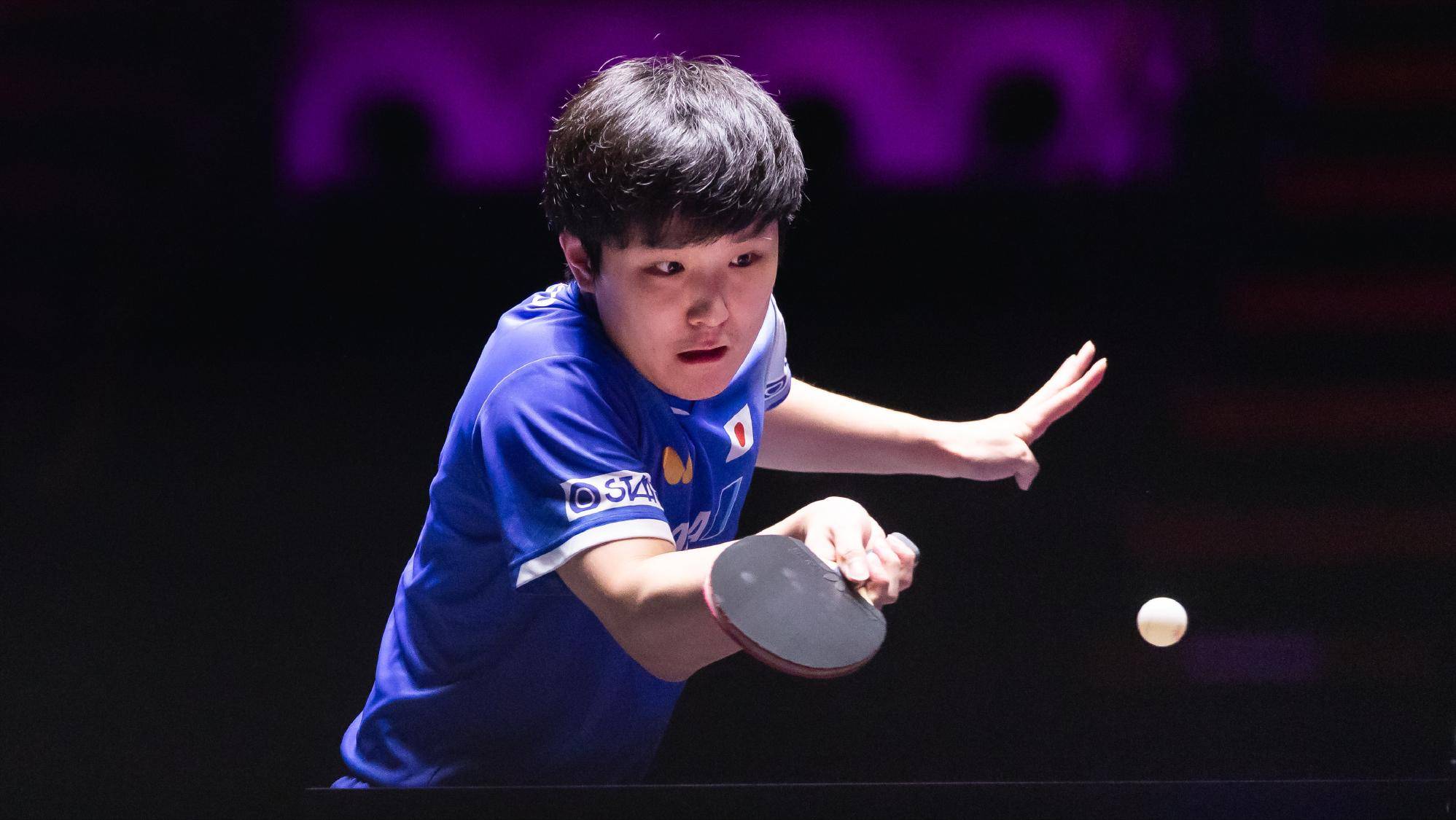 关于法国乒乓球队翻盘瑞典乒乓球队，张本智和制霸全场的信息